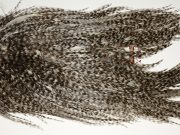 Coq De Leon Dry Fly Hackle, SGS-5645 Coq De Leon Dry Fly Hackle, Silver Grade Saddle Grizzly