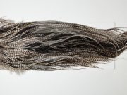 HBGS-6279 Hebert Dry Fly Hackle, Bronze Grade Saddle Variant Ties Sizes 14-16