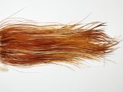 WBGMS-6406 Whiting Dry Fly Hackle, Farms Bronze Grade Midge Saddle Medium Ginger Ties Sizes 18-22