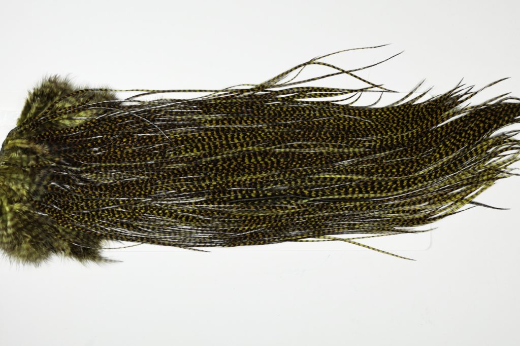 WSGS-6555 Whiting Dry Fly Hackle, Farms Silver Grade Saddle Grizzly dyed Dark Olive Ties Sizes 12