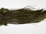 WSGS-6555 Whiting Dry Fly Hackle, Farms Silver Grade Saddle Grizzly dyed Dark Olive Ties Sizes 12