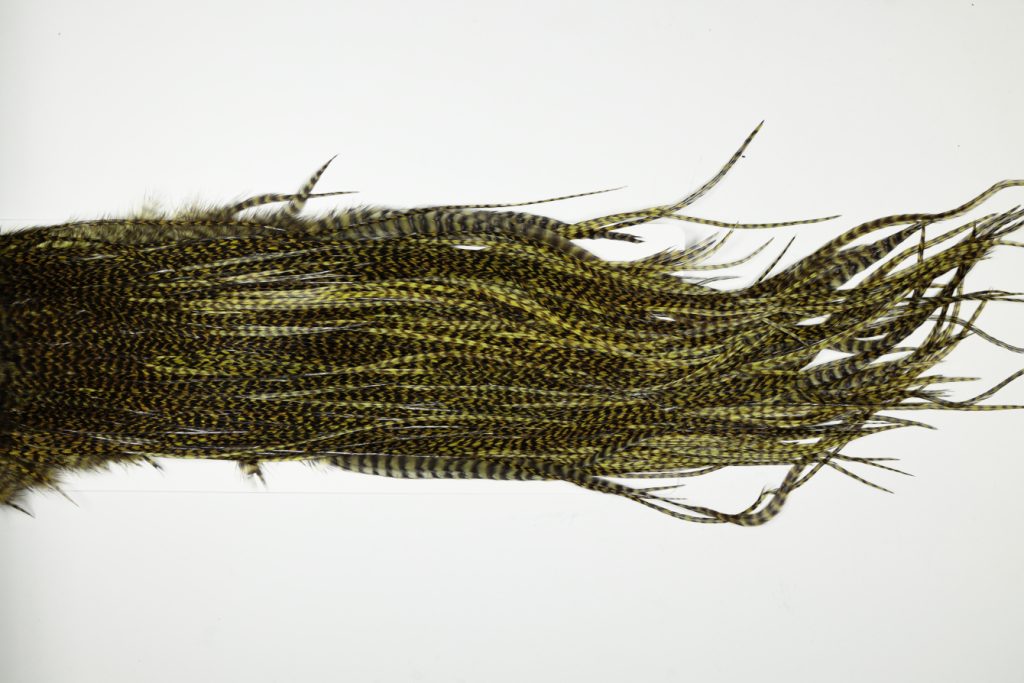 WGGS-6562 Whiting Dry Fly Hackle, Farms Gold Grade Saddle Grizzly dyed Dark Olive Ties Sizes 12-14
