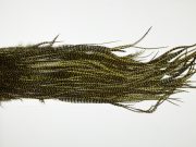 WGGS-6562 Whiting Dry Fly Hackle, Farms Gold Grade Saddle Grizzly dyed Dark Olive Ties Sizes 12-14