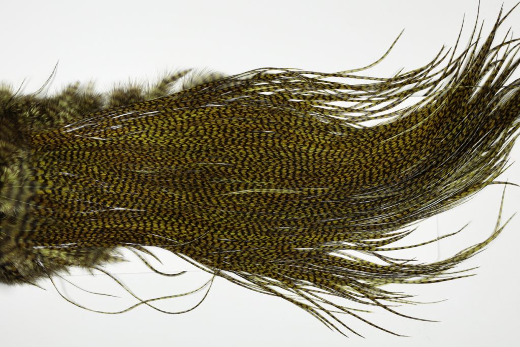 WGGS-6563 Whiting Dry Fly Hackle, Farms Gold Grade Saddle Grizzly dyed Dark Olive Ties Sizes 12-14