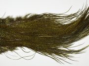 WGGS-6563 Whiting Dry Fly Hackle, Farms Gold Grade Saddle Grizzly dyed Dark Olive Ties Sizes 12-14