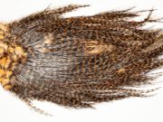 7348 Coq De Leon Dry Fly Hackle, Bronze Grade Saddle Golden Brown