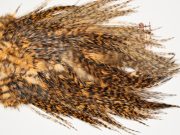 7352 Coq De Leon Dry Fly Hackle, Bronze Grade Saddle Golden Brown