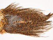 7353 Coq De Leon Dry Fly Hackle, Bronze Grade Saddle Golden Brown