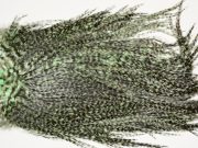 7374 Coq De Leon Dry Fly Hackle, Bronze Grade Saddle Mint