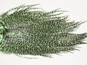 7377 Coq De Leon Dry Fly Hackle, Bronze Grade Saddle Mint