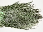 7378 Coq De Leon Dry Fly Hackle, Bronze Grade Saddle Mint