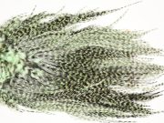 7382 Coq De Leon Dry Fly Hackle, Bronze Grade Saddle Mint