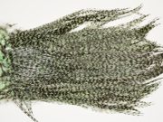 7384 Coq De Leon Dry Fly Hackle, Bronze Grade Saddle Mint