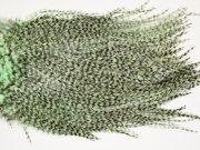 7385 Coq De Leon Dry Fly Hackle, Bronze Grade Saddle Mint