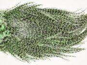 7386 Coq De Leon Dry Fly Hackle, Bronze Grade Saddle Mint
