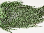 7389 Coq De Leon Dry Fly Hackle, Bronze Grade Saddle Mint