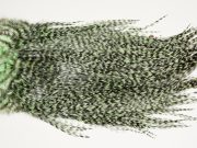 7391 Coq De Leon Dry Fly Hackle, Bronze Grade Saddle Mint