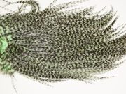 7393 Coq De Leon Dry Fly Hackle, Bronze Grade Saddle Mint