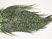 7394 Coq De Leon Dry Fly Hackle, Bronze Grade Saddle Mint