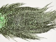 7396 Coq De Leon Dry Fly Hackle, Bronze Grade Saddle Mint