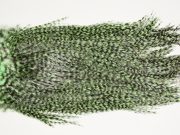 7398 Coq De Leon Dry Fly Hackle, Bronze Grade Saddle Mint