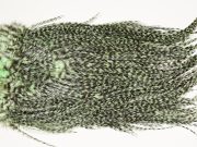 7399 Coq De Leon Dry Fly Hackle, Bronze Grade Saddle Mint