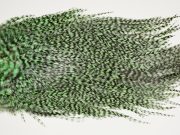 7401 Coq De Leon Dry Fly Hackle, Bronze Grade Saddle Mint