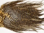 7429 Coq De Leon Dry Fly Hackle, Bronze Grade Saddle Copper Olive