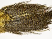 7438 Coq De Leon Dry Fly Hackle, Bronze Grade Saddle Golden Olive