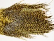 7439 Coq De Leon Dry Fly Hackle, Bronze Grade Saddle Golden Olive