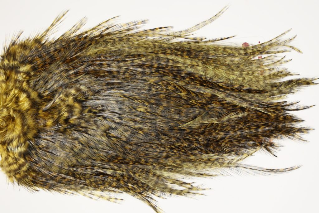 7442 Coq De Leon Dry Fly Hackle, Bronze Grade Saddle Golden Olive