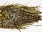 7442 Coq De Leon Dry Fly Hackle, Bronze Grade Saddle Golden Olive