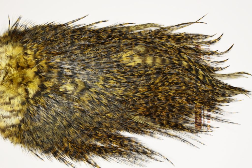 7444 Coq De Leon Dry Fly Hackle, Bronze Grade Saddle Golden Olive