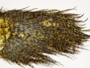 7444 Coq De Leon Dry Fly Hackle, Bronze Grade Saddle Golden Olive
