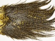 7447 Coq De Leon Dry Fly Hackle, Bronze Grade Saddle Golden Olive