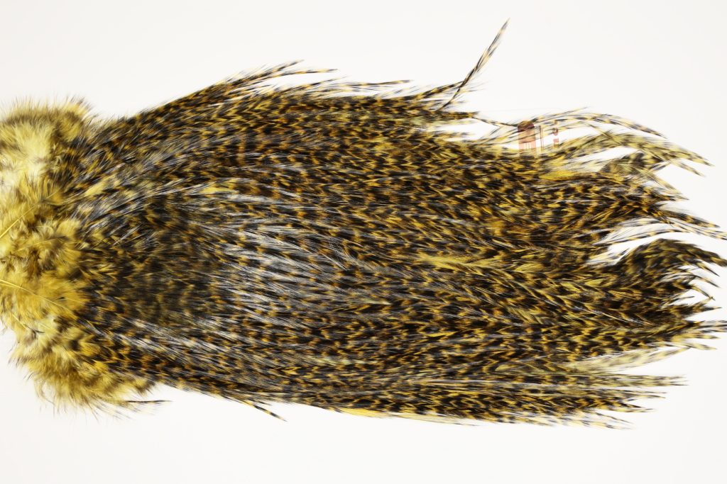 7448 Coq De Leon Dry Fly Hackle, Bronze Grade Saddle Golden Olive