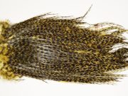 7448 Coq De Leon Dry Fly Hackle, Bronze Grade Saddle Golden Olive