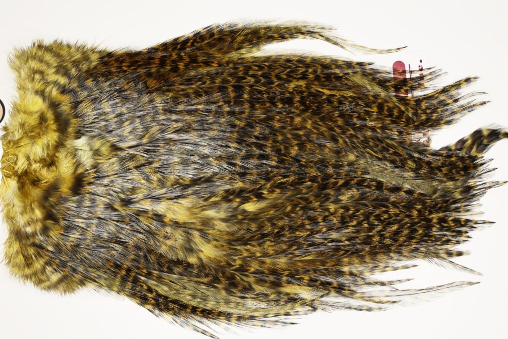 7449 Coq De Leon Dry Fly Hackle, Bronze Grade Saddle Golden Olive