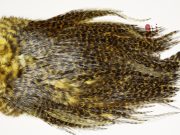 7449 Coq De Leon Dry Fly Hackle, Bronze Grade Saddle Golden Olive