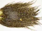 7457 Coq De Leon Dry Fly Hackle, Bronze Grade Saddle Golden Olive