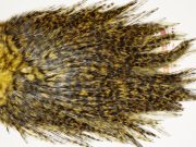 7458 Coq De Leon Dry Fly Hackle, Bronze Grade Saddle Golden Olive