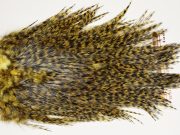 7461 Coq De Leon Dry Fly Hackle, Bronze Grade Saddle Golden Olive