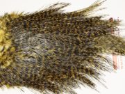 7462 Coq De Leon Dry Fly Hackle, Bronze Grade Saddle Golden Olive