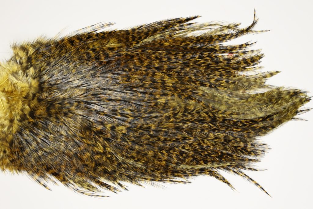 7463 Coq De Leon Dry Fly Hackle, Bronze Grade Saddle Golden Olive