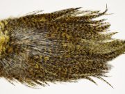 7463 Coq De Leon Dry Fly Hackle, Bronze Grade Saddle Golden Olive
