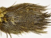 7466 Coq De Leon Dry Fly Hackle, Bronze Grade Saddle Golden Olive