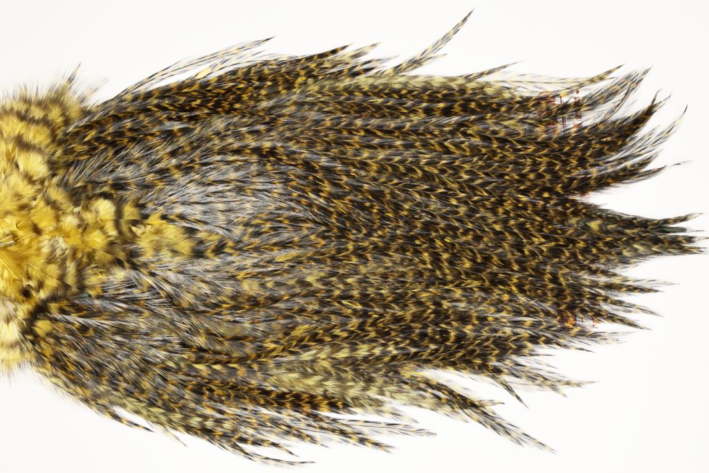 7467 Coq De Leon Dry Fly Hackle, Bronze Grade Saddle Golden Olive