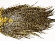 7467 Coq De Leon Dry Fly Hackle, Bronze Grade Saddle Golden Olive