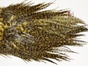 7468 Coq De Leon Dry Fly Hackle, Bronze Grade Saddle Golden Olive