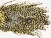 7470 Coq De Leon Dry Fly Hackle, Bronze Grade Saddle Pale Yellow